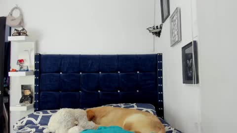 canelita_sweet5 online show from May 14, 9:53 pm