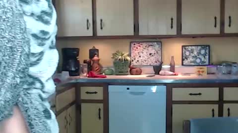 CATALYSTIC online show from February 4, 2:32 pm