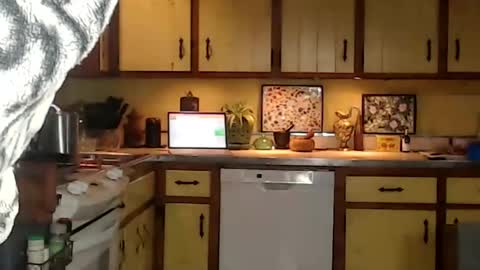 CATALYSTIC online show from November 15, 12:06 pm