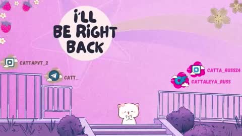 catta 3 online show from January 8, 11:31 pm