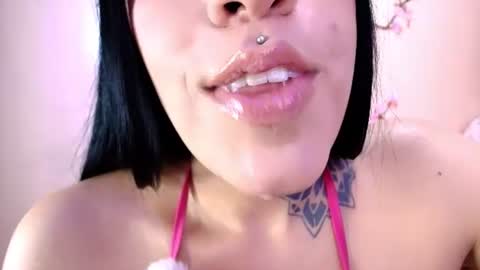 Cattleya online show from August 5, 5:47 am