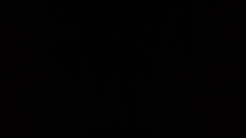 ChanelMaxxx online show from January 8, 8:07 am