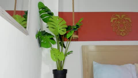 C H A R L O T E online show from March 13, 4:14 am