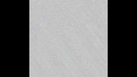 Charlotte online show from January 8, 7:51 pm