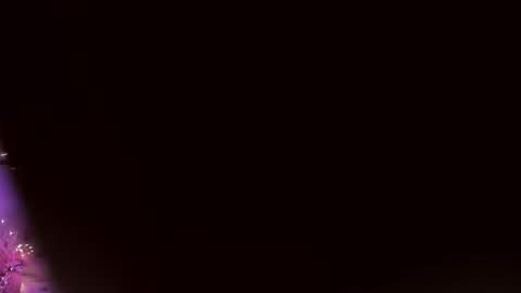 Bianca online show from December 5, 11:44 am