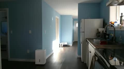 Chelsea online show from January 15, 5:05 pm