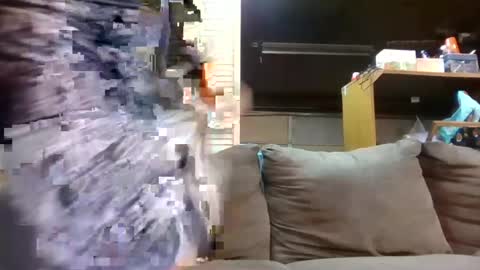 comeboyandcum online show from August 9, 7:45 am