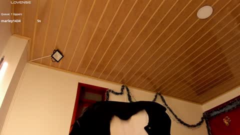 Snapshot of coquette_johnson chatting on December 29, 11:40 am Coquette Johnson online show from December 29, 11:40 am