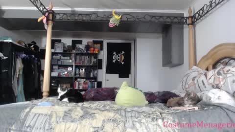 Amethyst Cox online show from December 4, 11:05 pm