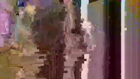 countrymommy online show from November 13, 6:01 am