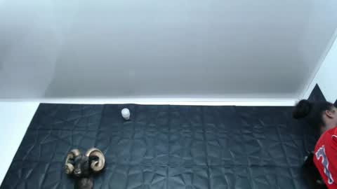 Snapshot of cristal_smith06 chatting on February 27, 5:56 am Hanna online show from February 27, 5:56 am