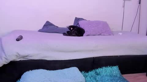 Cyan online show from November 15, 2:23 am