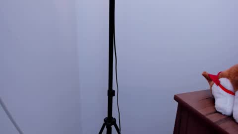 Snapshot of d___darling chatting on March 4, 6:47 am darling online show from March 4, 6:47 am