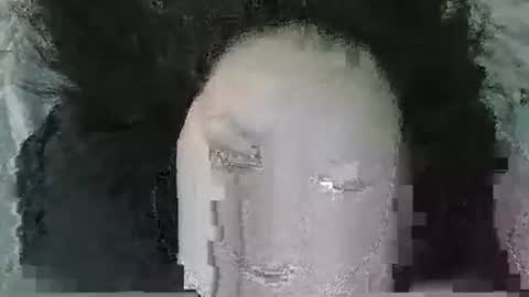 daisnconfusion_ online show from February 25, 5:40 pm