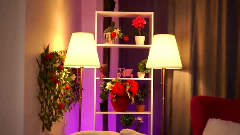 Daisy online show from March 16, 7:29 pm