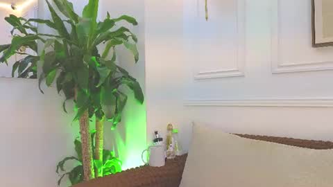 Daisy Price online show from July 1, 11:10 am