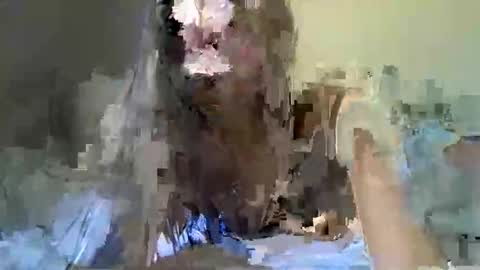 Daisy online show from September 23, 6:22 am