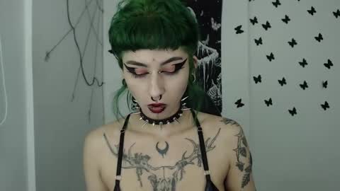 dakota online show from December 7, 2:42 am