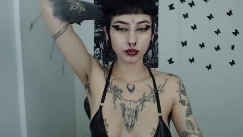 dakota online show from January 14, 1:15 am