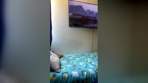 Salma online show from April 26, 4:16 pm