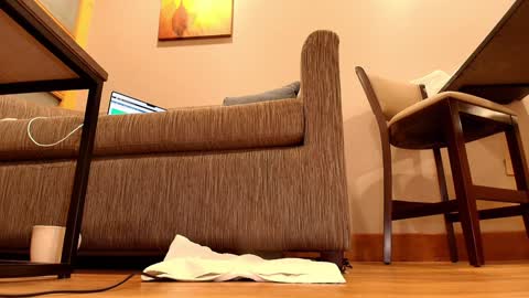 Snapshot of dayanna_sweet chatting on January 22, 3:31 am Dayanna Sweet online show from January 22, 3:31 am