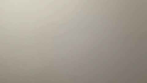 Delivery      online show from December 9, 8:33 pm