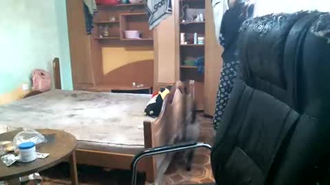 DennisXCarol online show from March 16, 7:23 am