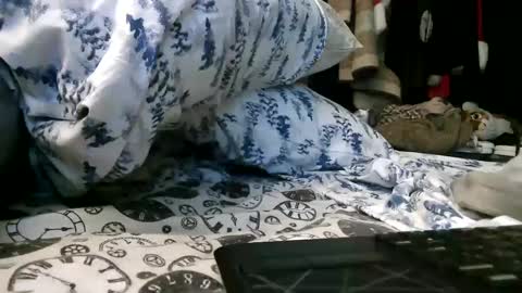 deroseblack online show from February 6, 6:13 pm