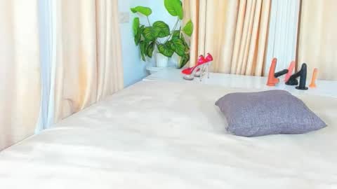 chocolate online show from September 17, 8:51 pm