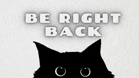 Bella  online show from August 2, 9:07 pm