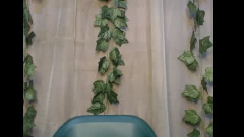 linda online show from November 8, 1:10 am