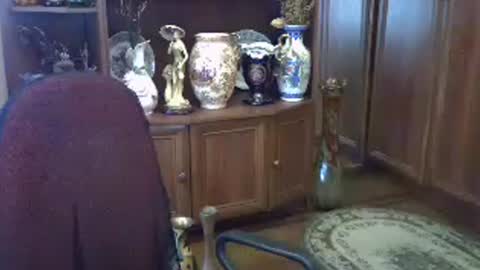 ElenaZed online show from July 3, 8:31 am