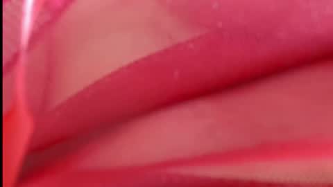 Elis online show from November 27, 12:57 am