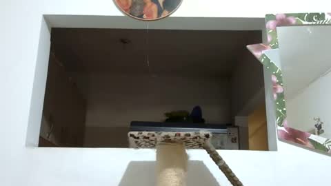 Elizabeth Martinez  online show from January 22, 6:41 pm