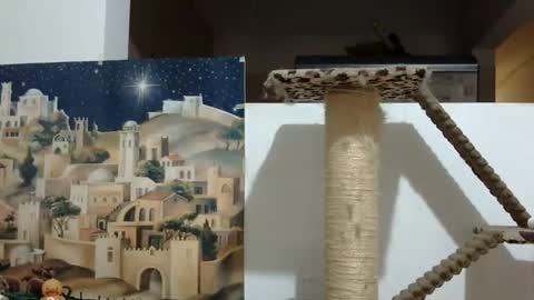 Elizabeth Martinez  online show from December 29, 5:54 pm