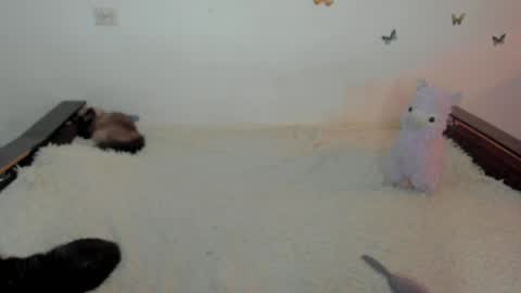 Elsa online show from April 26, 9:23 pm