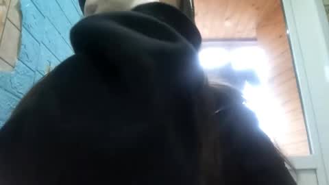 Alisa online show from April 25, 1:41 pm