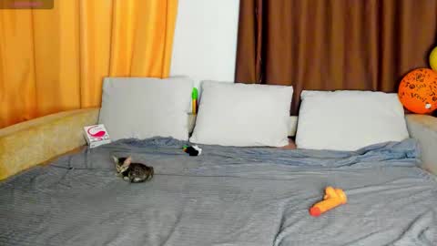 Eva online show from November 11, 11:40 am