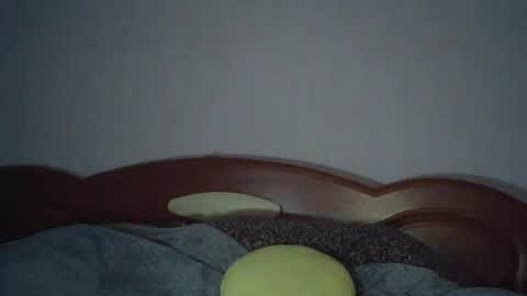 Evelina online show from August 1, 4:20 pm