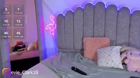 My name is Evie  nice to meet you  really get to know me better private is open  online show from February 21, 2:01 am