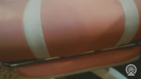 Exoticlexxii online show from February 17, 5:29 am