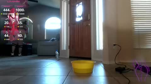 explicitshaybaby online show from November 2, 9:40 pm