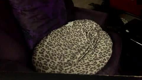 Farrah online show from June 25, 3:28 am
