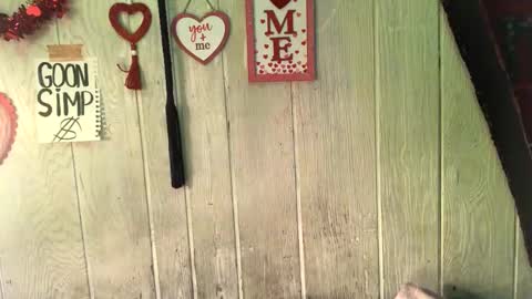 findommefoxi online show from February 8, 1:54 am