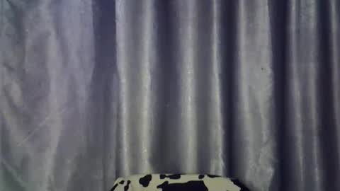 freaky brula online show from July 14, 12:11 am