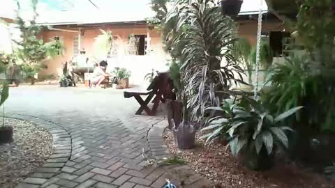 gaby  layla online show from January 31, 8:22 pm