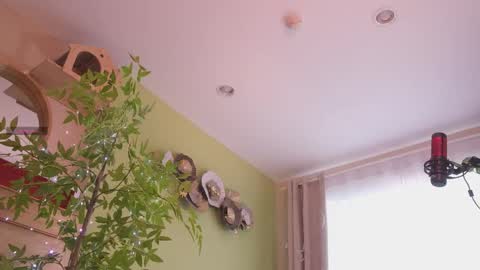 Anna online show from November 12, 12:41 am