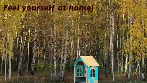 Kristin  online show from February 22, 5:36 pm