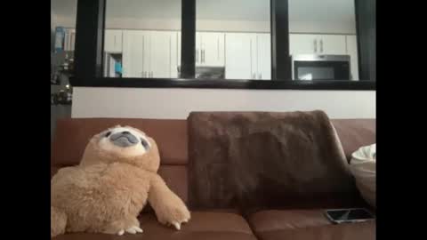 Baby Bimbo online show from February 10, 6:03 pm