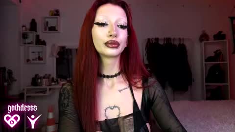    online show from November 24, 4:36 am